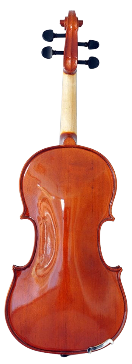 Violín 4/4 RONDO GV102 - Imagen 2