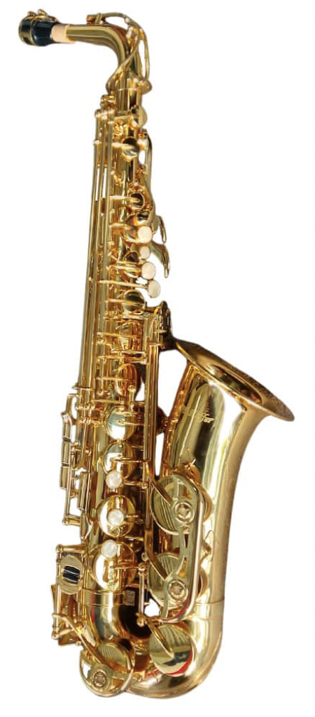 Saxofón Alto Estudiante Hoffer HAS100 - Imagen 5