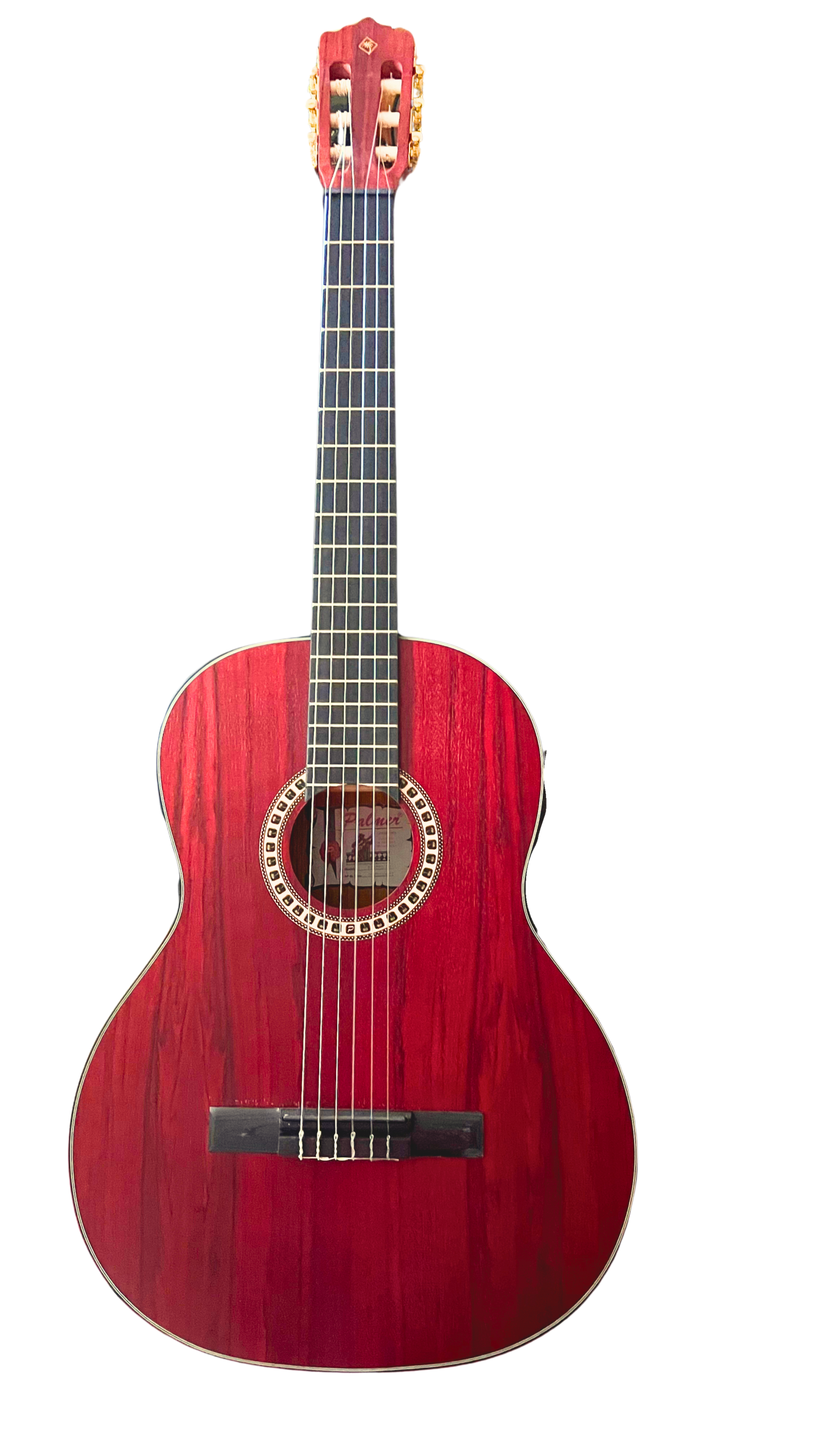 Guitarra Electroacústica Palmer PC-17EQCH